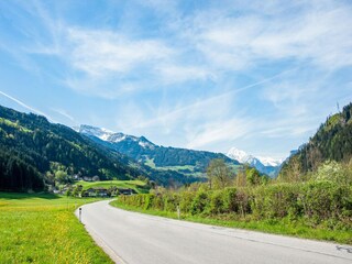Apartamento Hainzenberg Entorno 31