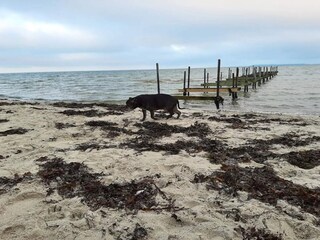 Ferienhaus Hejlsminde  20