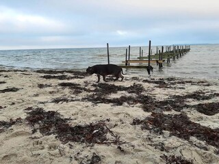 Casa de vacaciones Hejlsminde  34