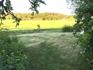 Holiday house Nyköping Outdoor Recording 4