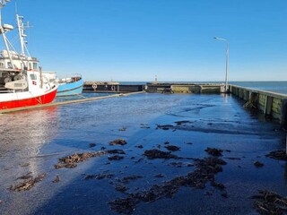 Vakantiehuis Aalbæk  11