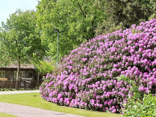 Holiday house Bengtsfors  22