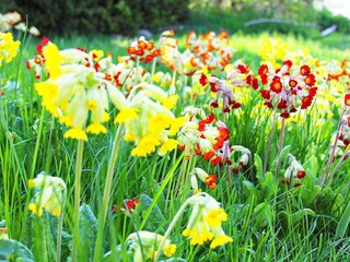 Ferienhaus Bengtsfors  24