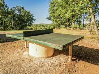 Vakantiehuis Salignac-Eyvigues  36