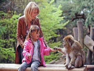 Vakantiehuis Salignac-Eyvigues Omgeving 31