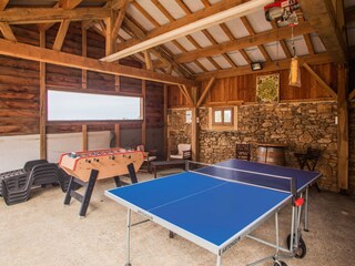 Ferienhaus Les Eyzies-de-Tayac-Sireuil  40
