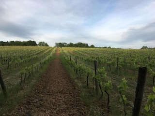 Maison de vacances Les Eyzies-de-Tayac-Sireuil Environnement 34