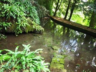 Parc de vacances Serrières-en-Chautagne Enregistrement extérieur 1
