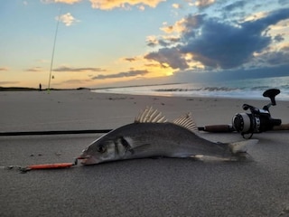 Ferienpark Wissenkerke Umgebung 26