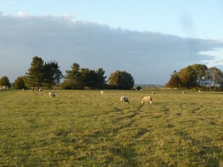 Vakantiehuisje Fairfield (Kent) Buitenaudio-opname 6