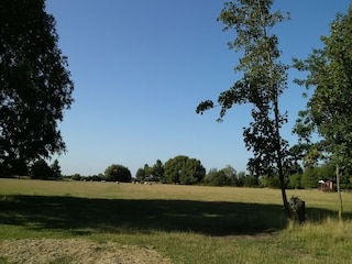 Holiday cottage Fairfield (Kent) Outdoor Recording 7