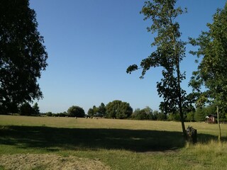 Vakantiehuisje Fairfield (Kent) Buitenaudio-opname 3