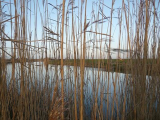 Vakantiehuisje Fairfield (Kent) Omgeving 18