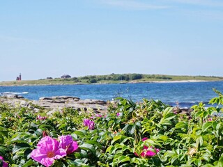 Vakantiehuis Halmstad  8