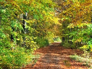 Vakantiehuis Halmstad  24