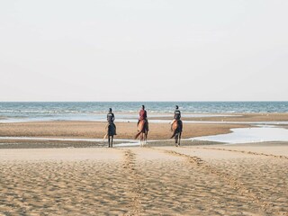 Appartamento Binz Ambiente 9