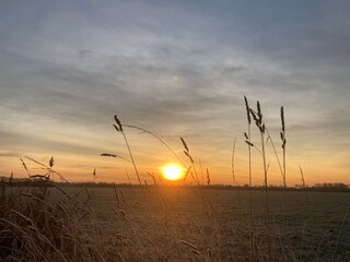 Appartamento per vacanze Grijpskerke Ambiente 26
