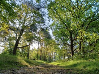 Appartamento per vacanze Grijpskerke Ambiente 24