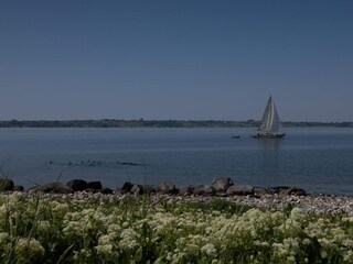 Vakantiehuis Ærøskøbing  35