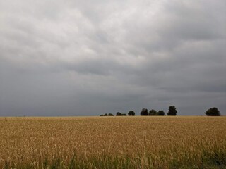 Vakantiehuis Ærøskøbing  14