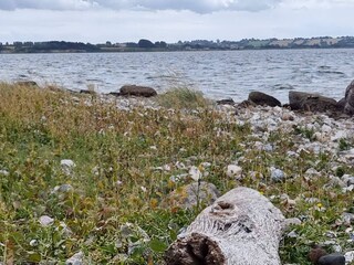 Vakantiehuis Ærøskøbing  30
