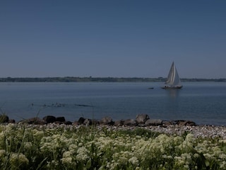 Maison de vacances Ærøskøbing  19