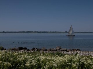 Vakantiehuis Ærøskøbing  32