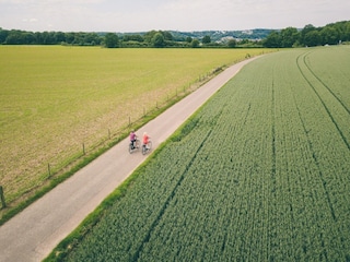 Vakantiepark Walem Omgeving 13