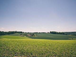 Parc de vacances Walem Environnement 15