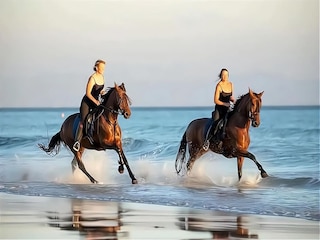 Ferienhaus Vejer de la Frontera Umgebung 31