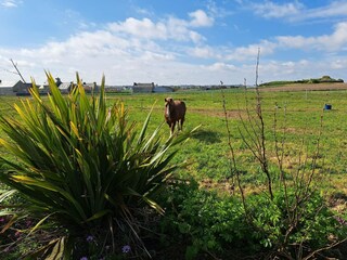 Casa de vacaciones Plouescat Grabación al aire libre 5