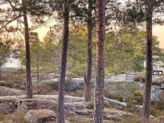 Holiday house Vättersö  15