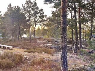 Ferienhaus Vättersö  26