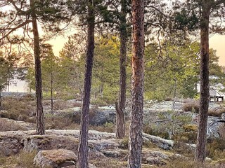 Ferienhaus Vättersö  14