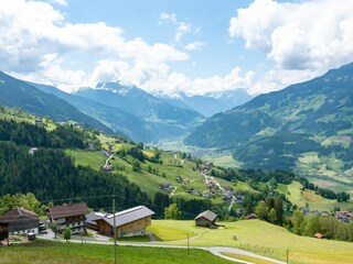 Appartement Stummerberg Environnement 31