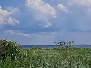 Ferienhaus Fjand  40