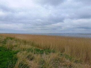 Ferienhaus Fjand  41