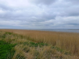 Vakantiehuis Fjand  12