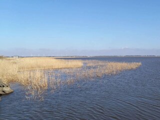 Vakantiehuis Fjand  45