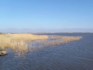 Vakantiehuis Fjand  46
