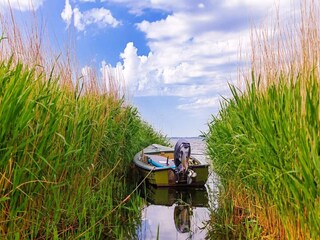 Casa per le vacanze Fjand  13