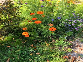 Casa per le vacanze Gurk Ambiente 22