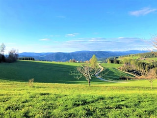 Casa per le vacanze Gurk Ambiente 23