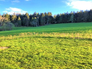 Casa per le vacanze Gurk Ambiente 25