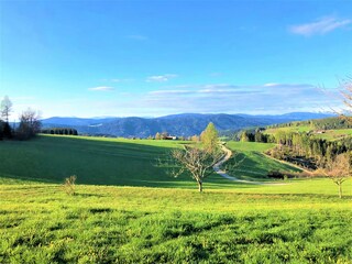 Casa per le vacanze Gurk Ambiente 32