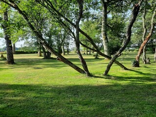 Maison de vacances Chantenay-Saint-Imbert Enregistrement extérieur 14