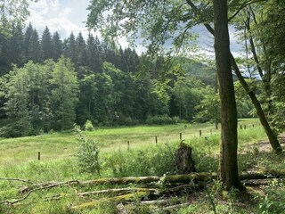 Appartement Winterberg Omgeving 35
