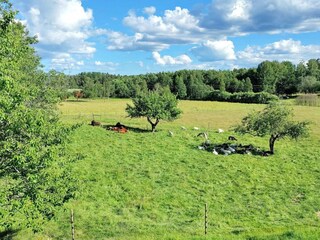 Vakantiehuis Laxne  25