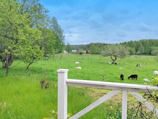 Ferienhaus Laxne  15