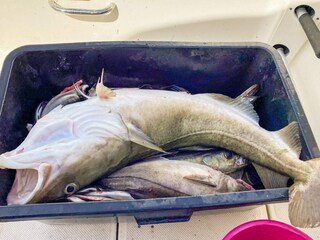 Vakantiehuis Welt  6